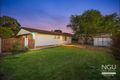 Property photo of 177 Raceview Street Raceview QLD 4305