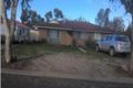 Property photo of 8 Casuarina Drive Katanning WA 6317