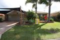 Property photo of 33 Numbat Court Coombabah QLD 4216