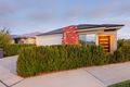 Property photo of 46 Doryanthes Avenue Piara Waters WA 6112