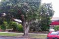 Property photo of 12/162 Brighton Road Ripponlea VIC 3185