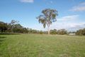 Property photo of 25 Repeater Station Road Naracoorte SA 5271