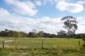 Property photo of 25 Repeater Station Road Naracoorte SA 5271