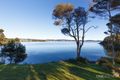 Property photo of 8 Reece Street George Town TAS 7253