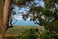 Property photo of 36 Castle Drive Floraville NSW 2280