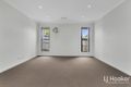 Property photo of 7 Carew Street Yarrabilba QLD 4207