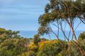Property photo of 27 Odonohue Road Anglesea VIC 3230