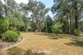 Property photo of 41 Rankins Road Monbulk VIC 3793