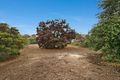 Property photo of 27 Eldon Street Bridgewater On Loddon VIC 3516