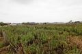 Property photo of 3 Turnbull Avenue Kemps Creek NSW 2178