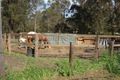 Property photo of 456 Butterwick Road Butterwick NSW 2321