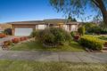 Property photo of 6 Petronella Avenue Wheelers Hill VIC 3150