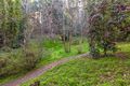Property photo of 8 Kemp Road Aldgate SA 5154