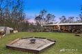 Property photo of 17 Tillapai Grove Karana Downs QLD 4306