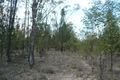Property photo of 82 Bartels Road Kogan QLD 4406