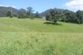 Property photo of 12680 Princes Highway Brogo NSW 2550