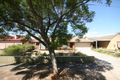 Property photo of 6 Perry Avenue Daw Park SA 5041