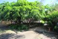 Property photo of 6 Bluejeep Court Horseshoe Bay QLD 4819