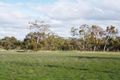 Property photo of 25 Repeater Station Road Naracoorte SA 5271