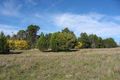Property photo of 22 Needles Road Williamstown SA 5351