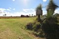 Property photo of 38 Hedley Drive Woolmar QLD 4515
