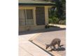 Property photo of 22 Whiteman Road Williamstown SA 5351