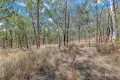 Property photo of 103 Doughboy Road Doughboy QLD 4671