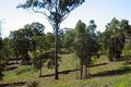 Property photo of 23 Willem Drive Draper QLD 4520