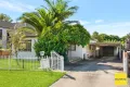 Property photo of 7 Paul Crescent Canley Heights NSW 2166