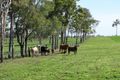 Property photo of 353 Dicksons Road Yandaran QLD 4673