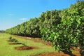Property photo of 48 Saint Johns Road Windermere QLD 4670