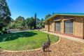 Property photo of 44 Adelaide Road Kapunda SA 5373