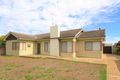 Property photo of 22 Civic Avenue Echuca VIC 3564