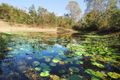 Property photo of 89 Vincents Road Kurrajong NSW 2758