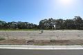 Property photo of 55 Portmarnock Close Medowie NSW 2318