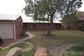 Property photo of 12 Eucalypt Avenue Muswellbrook NSW 2333