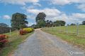 Property photo of 112 Great Alpine Road Bruthen VIC 3885