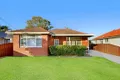 Property photo of 16 Adler Parade Greystanes NSW 2145