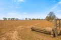 Property photo of 1547 Oxley Highway Wallamore NSW 2340