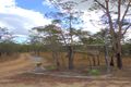 Property photo of 514 Davies Road Captain Creek QLD 4677