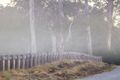 Property photo of 78 Olive Hill Drive Cobbitty NSW 2570