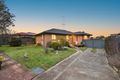 Property photo of 8 Pickett Avenue Minto NSW 2566