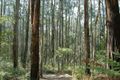 Property photo of 145 David Hill Road Monbulk VIC 3793