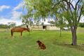 Property photo of 40 Sturt Drive Glenlee QLD 4711