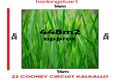 Property photo of 22 Cooney Circuit Kalkallo VIC 3064