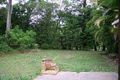 Property photo of 12 Wandoo Court Mapleton QLD 4560