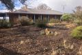 Property photo of 48 Mitchell Road Yaninee SA 5653