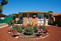 Property photo of 50 Selina Street Morphett Vale SA 5162