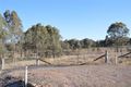 Property photo of 54 Panorama Court Rylstone NSW 2849