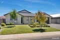 Property photo of 20 Moore Avenue Nuriootpa SA 5355